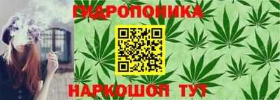 прущие грибы Ярцево